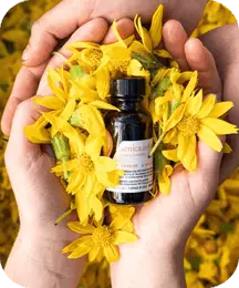 Ikaria Lean Belly Juice balmorex pro ingredients